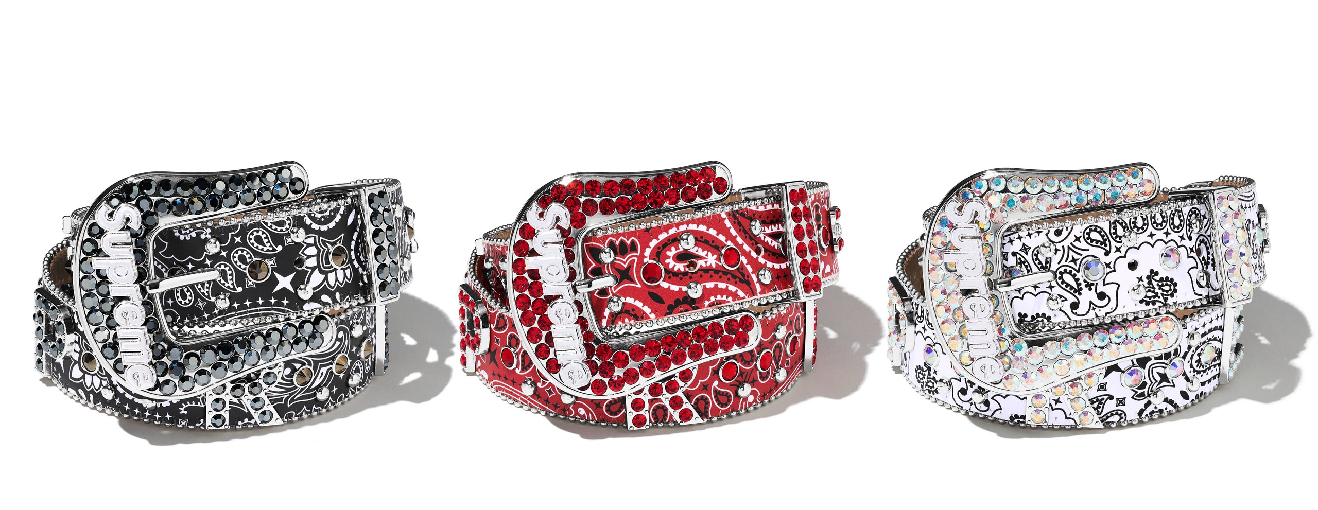 Supreme®/b.b. Simon® Bandana Belt view 24